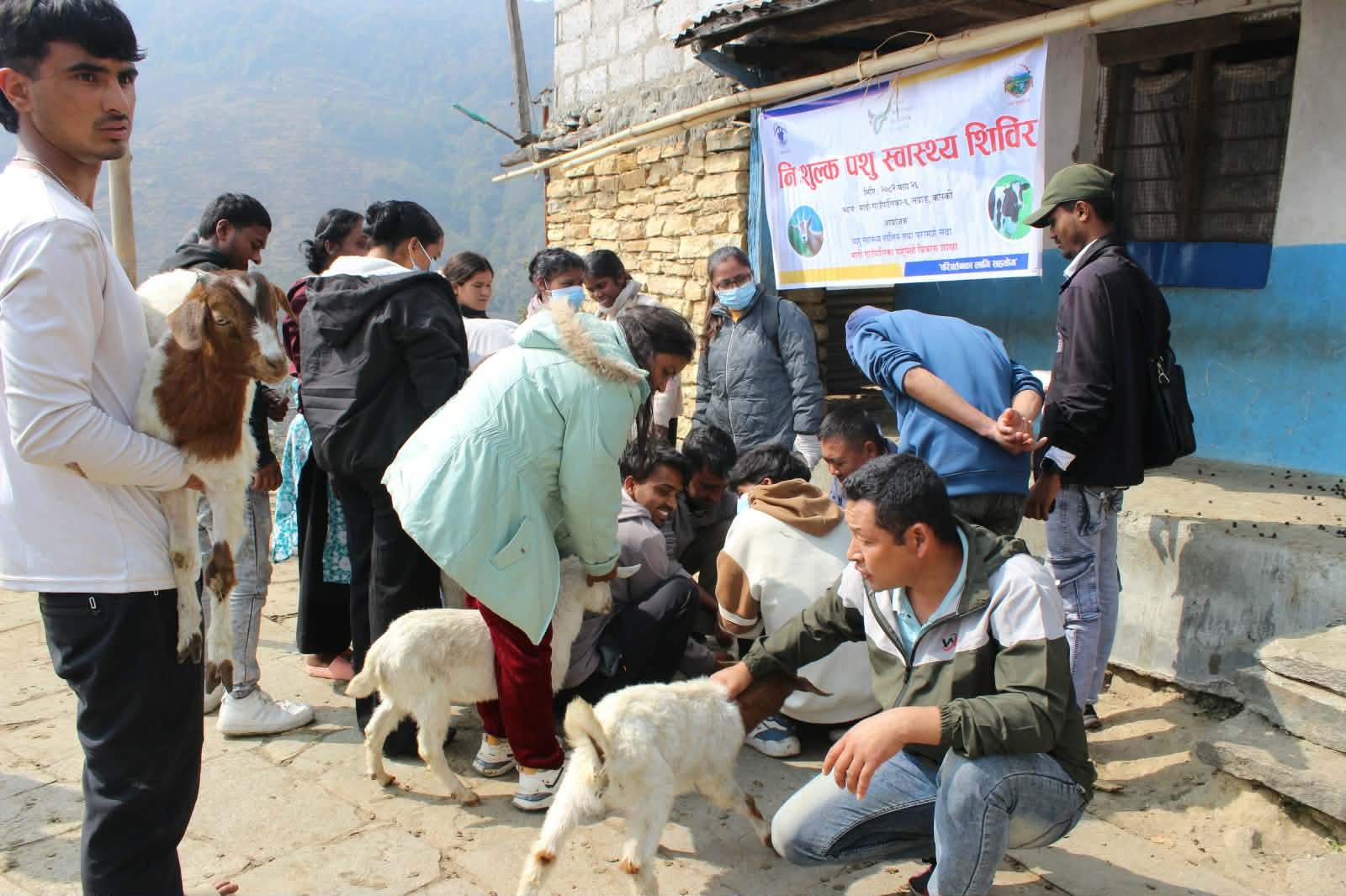 कास्कीको तप्राङमा निशुल्क पशु शिविर सम्पन्न